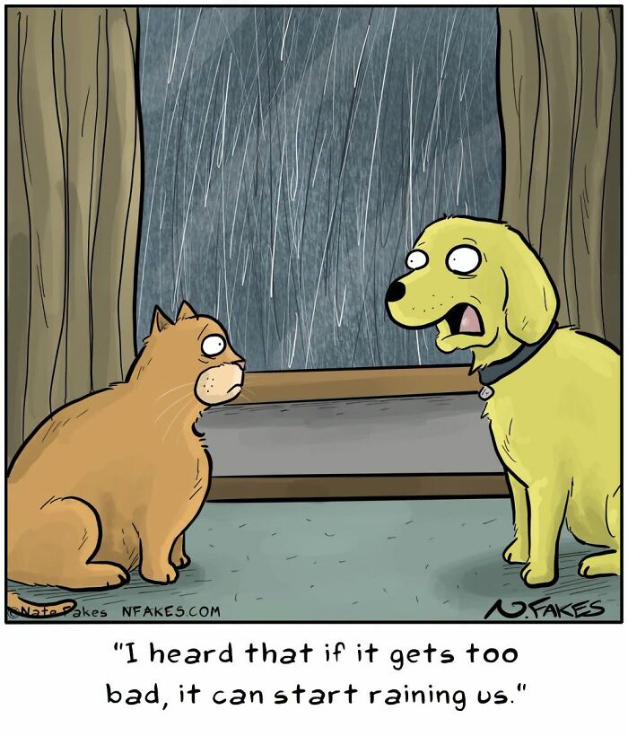Dog and cat worried about rain with funny dog talking comic