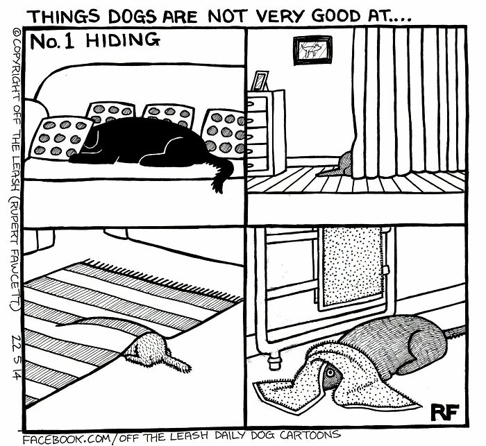 Off The Leash dog cartoon panel showing four funny attempts of a dog trying and failing to hide.