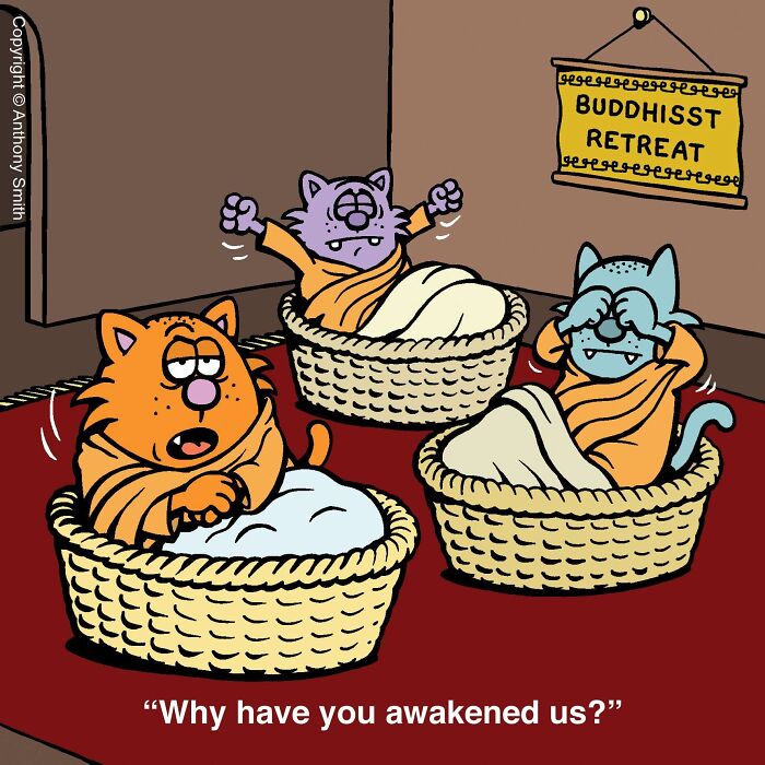 Funny cat comics panel showing three cat monks waking up in woven baskets.