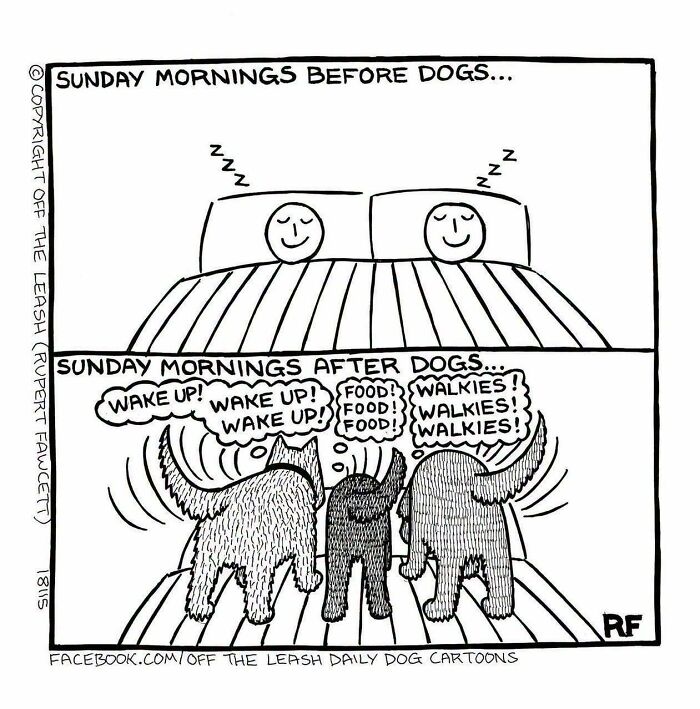 Funny Off The Leash dog cartoon showing life before and after pets on Sunday mornings.
