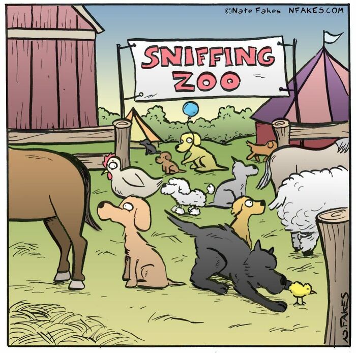 Dogs at a farm sniffing animals under a sign that says Sniffing Zoo