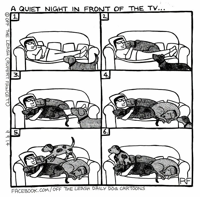 Funny Off The Leash dog cartoons panel showing multiple dogs crowding a owner lying on the sofa.