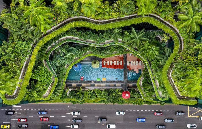 Aerial view of lush green urban garden with pool and busy road photo awards