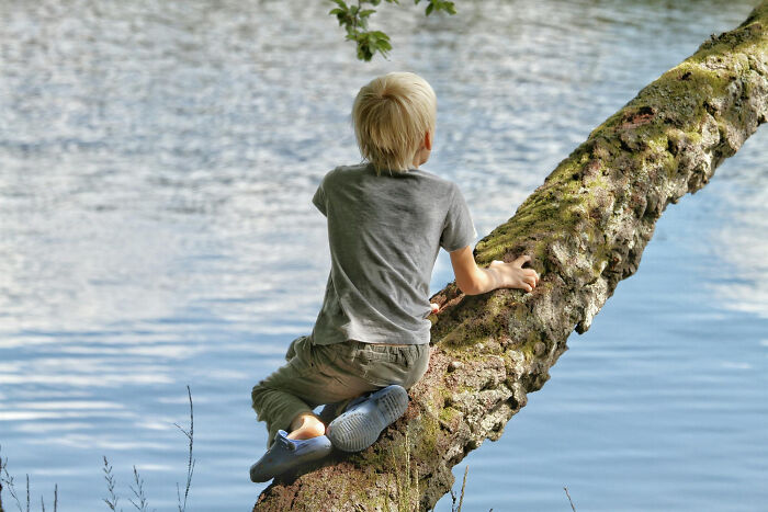 Boy sitting on tree branch overlooking water in nature