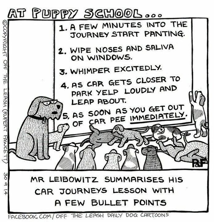 Funny Off The Leash dog cartoons displaying a dog teacher giving car journey instructions to puppies.
