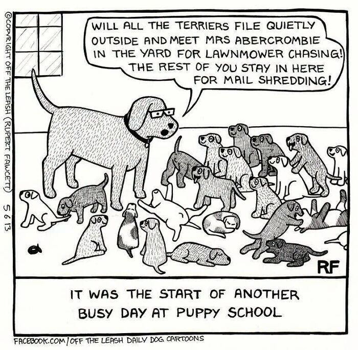 Off The Leash dog cartoon showing an adult dog teaching a classroom full of puppies at puppy school.