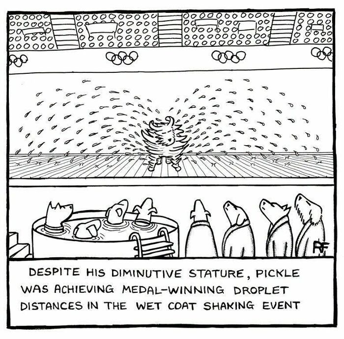 Funny dog cartoon by Rupert Fawcett showing a dog shaking off water at a swimming competition.