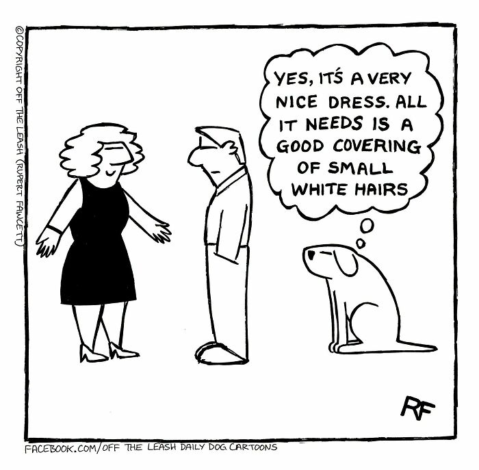 Funny Off The Leash dog cartoon showing a dog thinking about shedding hair on a woman's black dress