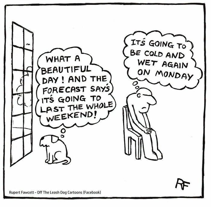 Off The Leash dog cartoon depicting a dog excited for sunny weather while its owner dreads Monday rain
