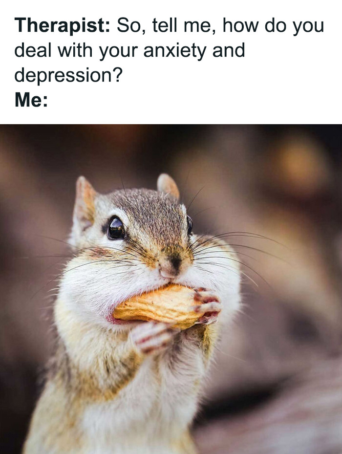 Relatable animal memes present a chipmunk stuffing its cheeks full with a large peanut for comfort
