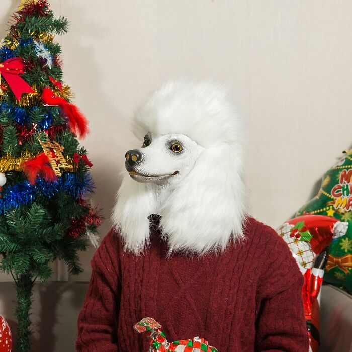 A person wearing a fluffy white poodle mask and a red sweater for a low-effort Halloween costume.