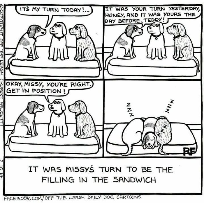 Funny Off The Leash dog cartoon by Rupert Fawcett depicting three dogs sleeping squeezed together in a bed.
