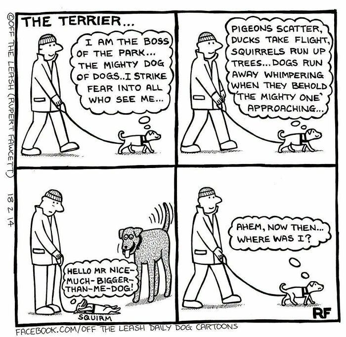 Funny dog cartoon showing a small terrier on a walk acting tough until meeting a bigger dog.