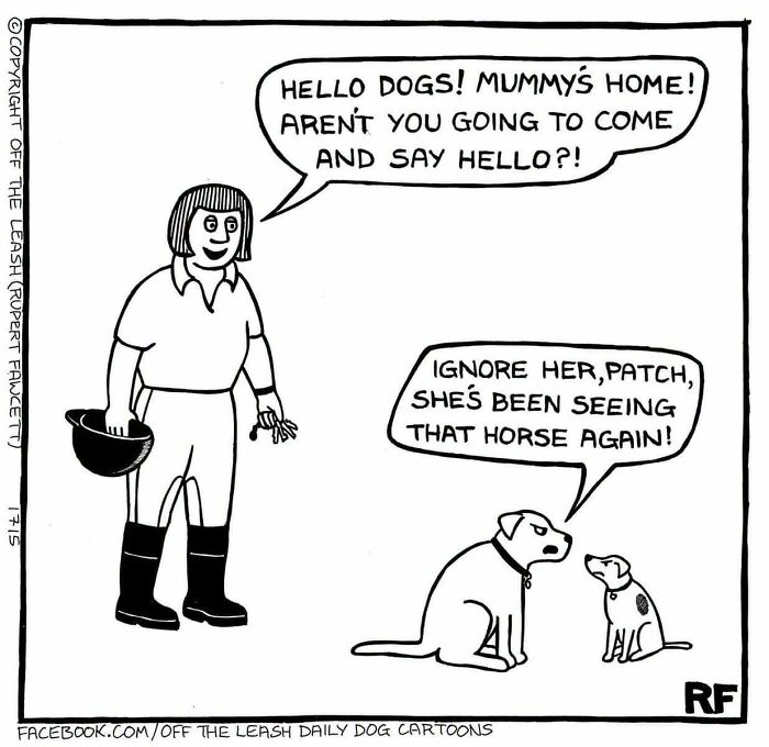 Off the Leash dog cartoons depicting jealous pets ignoring their owner after she visits a horse.