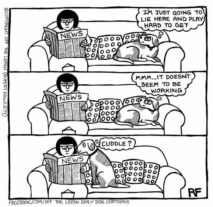 Funny Off the Leash dog cartoons showing a dog asking its owner for cuddles.