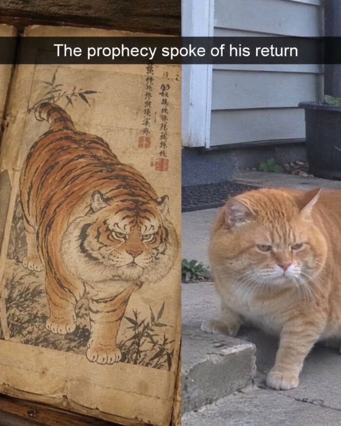 A side-by-side comparison meme of an ancient tiger drawing and a chubby orange cat