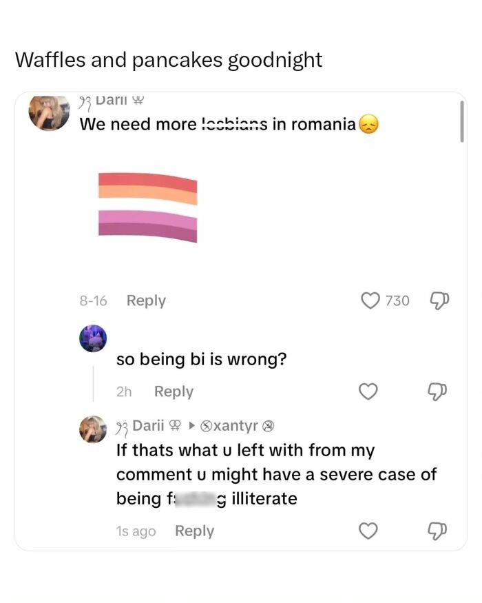 Social media comment exchange on a lesbian flag post, ideal for memes and interesting posts.