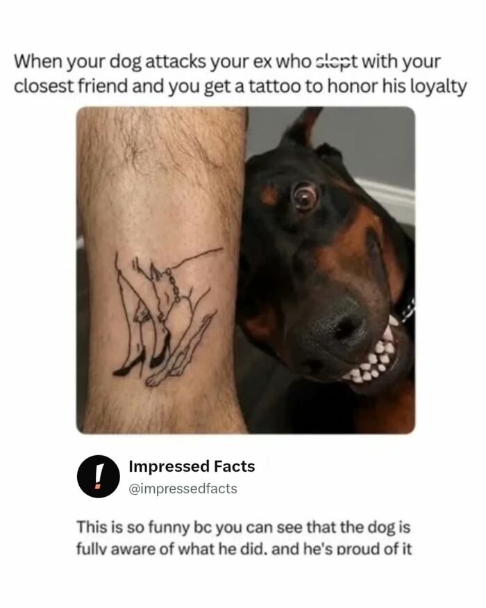 A funny post showing a dog smiling next to a tattoo of itself, representing funny memes and interesting posts.