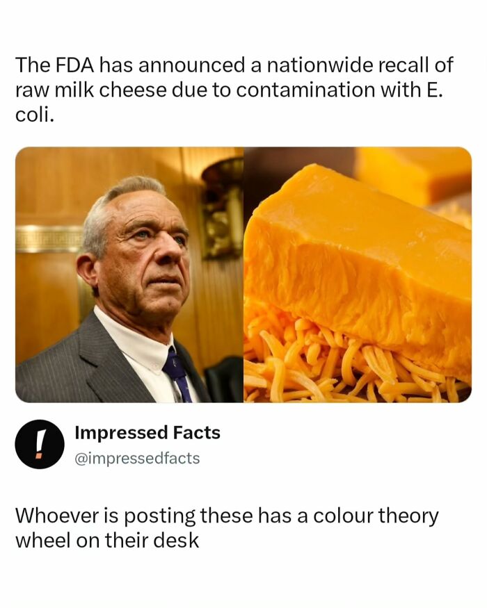 An interesting post comparing Robert F. Kennedy Jr. to a block of cheddar cheese due to similar coloring.