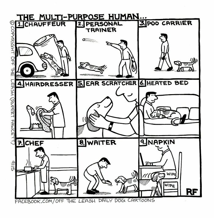 Dog cartoons by Rupert Fawcett depicting the multi-purpose roles of human owners.