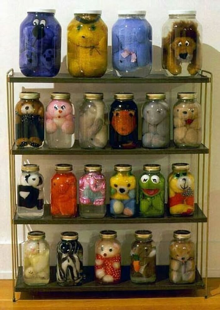 Hilarious crafts showing stuffed animals sealed in jars, an odd art project on shelves
