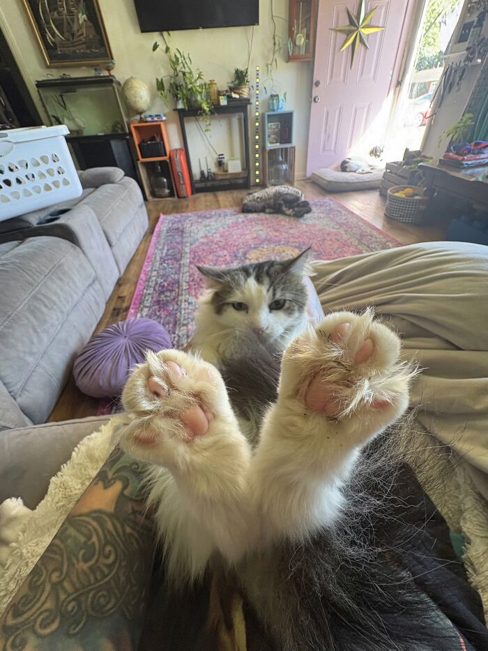 This Is Norma Jeans Brother, Whiskey