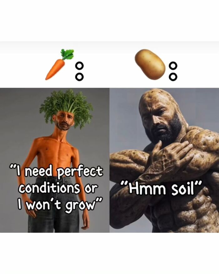 Meme comparing a weak carrot person to a muscular potato man, a classic format for funny memes.