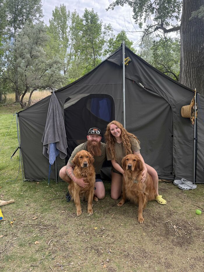 A couple camping with their two golden retrievers that look like their owners