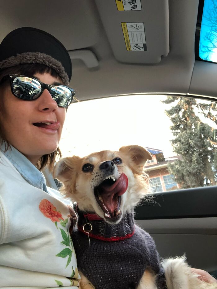 A woman and her funny dog that looks like its owner yawning together in a car