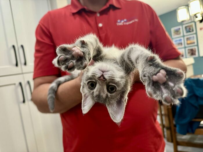 This Is Hands Down The Best Photo I’ve Ver Taken Of A Cat 😁 Luna Says Hello!
