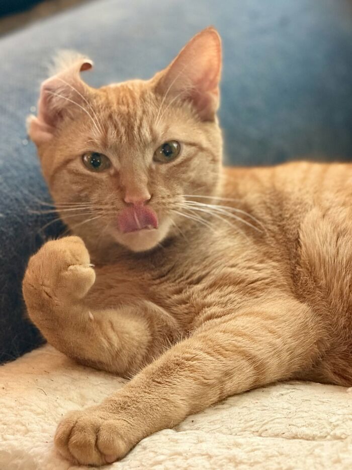 Rowdy Is So Happy To Have Found His People