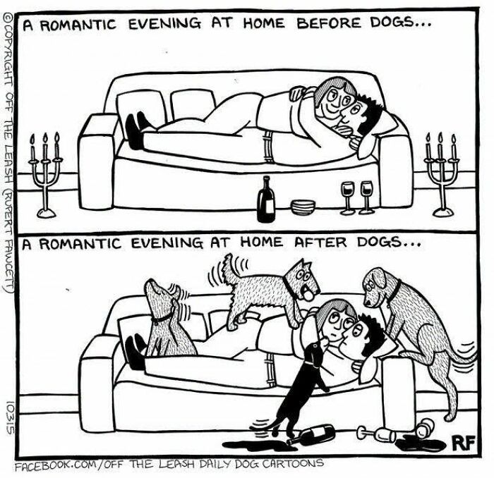 Funny dog cartoons showing romantic evenings before and after owning pets.