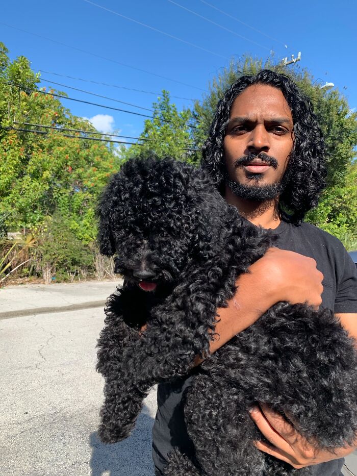A man with curly hair holding his fluffy black poodle, showing how pets look like their owners with similar hair.