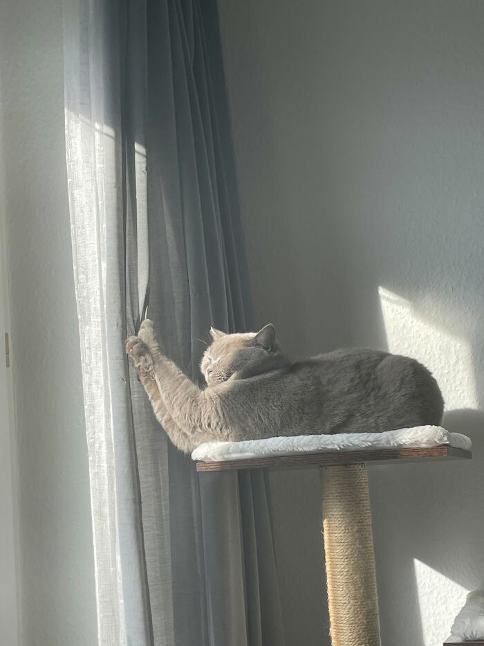 Yeah She’s… Special