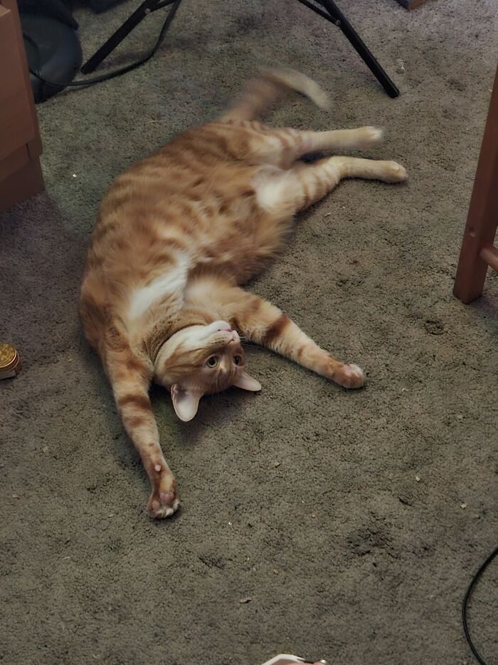 Willow Being A Silly Girl