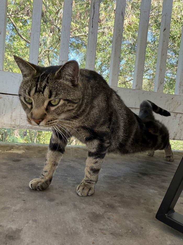 This Is Sam 🤎