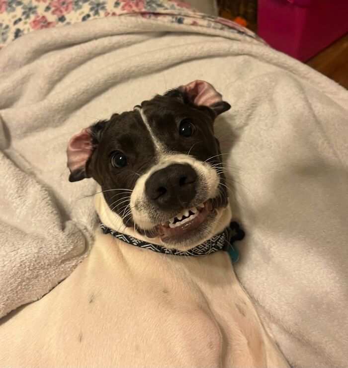 Norma's Big Brother Hankie