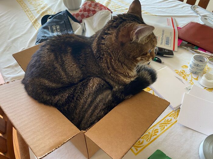 Trying To Squeeze Into Something That No Longer Fits. As Many Of Us Do