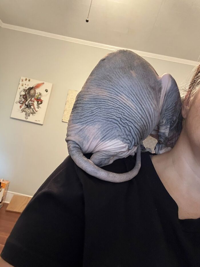 My Coworker Being Extra Needy. I Work From Home. She Thinks We Work Together