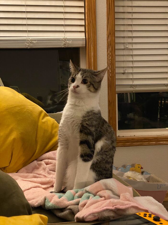Hotdog Always Doing Some Weird S**t