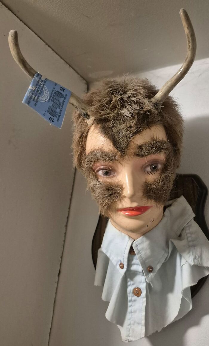 A creepy and hilarious art project depicting a human mannequin head with taxidermy fur and antlers.
