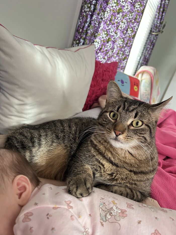 He Is Not The Biggest Fan Of Her Right Now At 11 Months But Before She Was Mobile We Had Many Cuddles As A Trio!!!