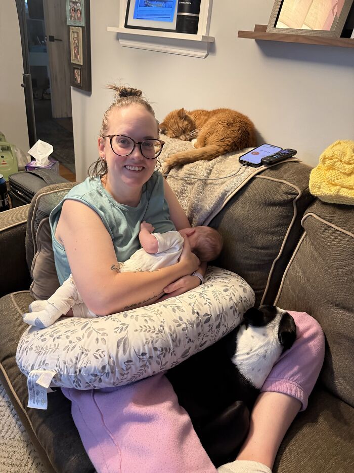 My Dog Has Decided Her Place Is In My Lap Under The Boppy To Prop It Up While I’m Nursing