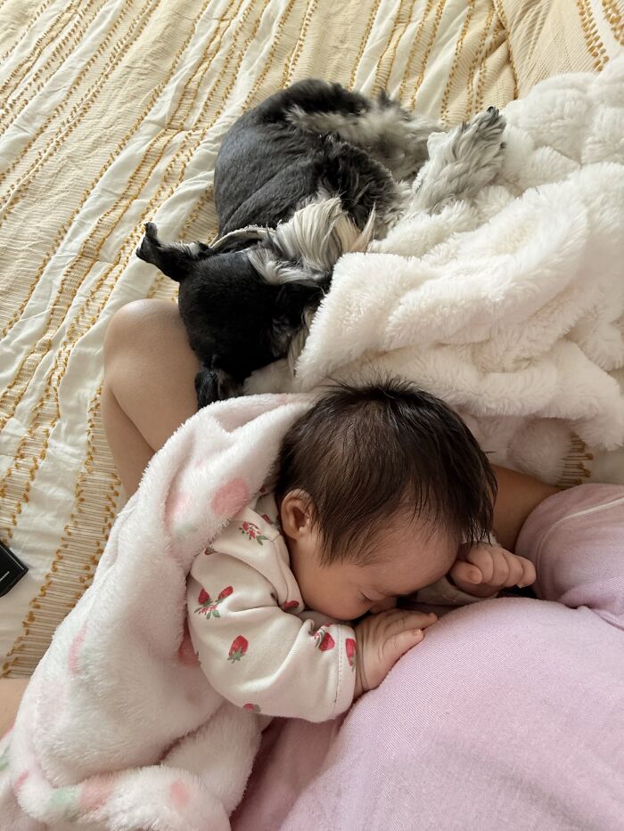 My Human Baby Napping With My Fur Baby