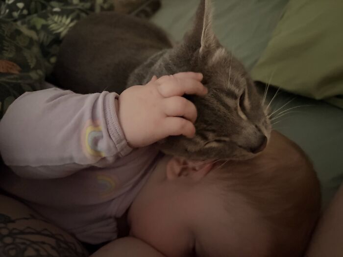 Scooter Is Goose’s Best Friend. I Don’t Think He Realises She’s A Baby… And If He Does, It Doesn’t Care