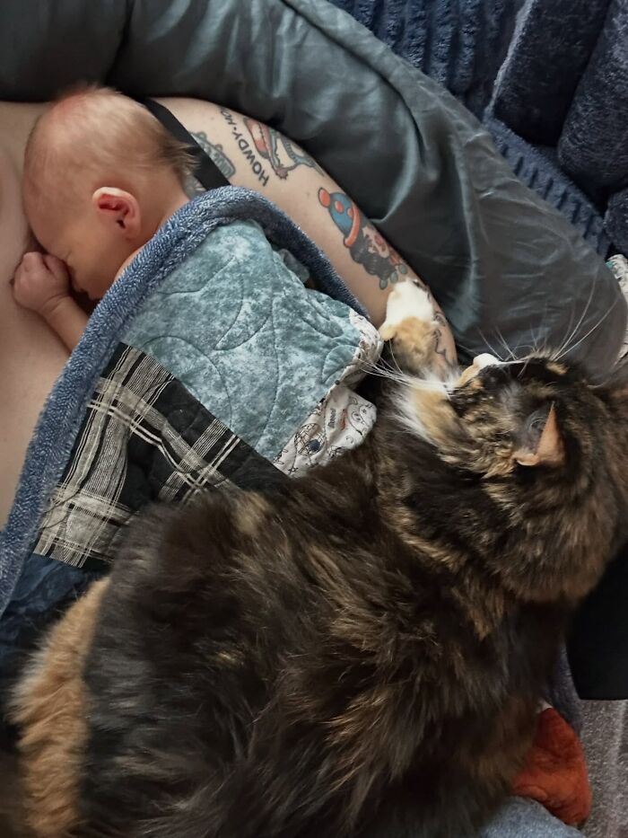 I Miss Cat (She’s Still Here My Son Is Just Almost One) As Boppy Pillow 🥹🖤