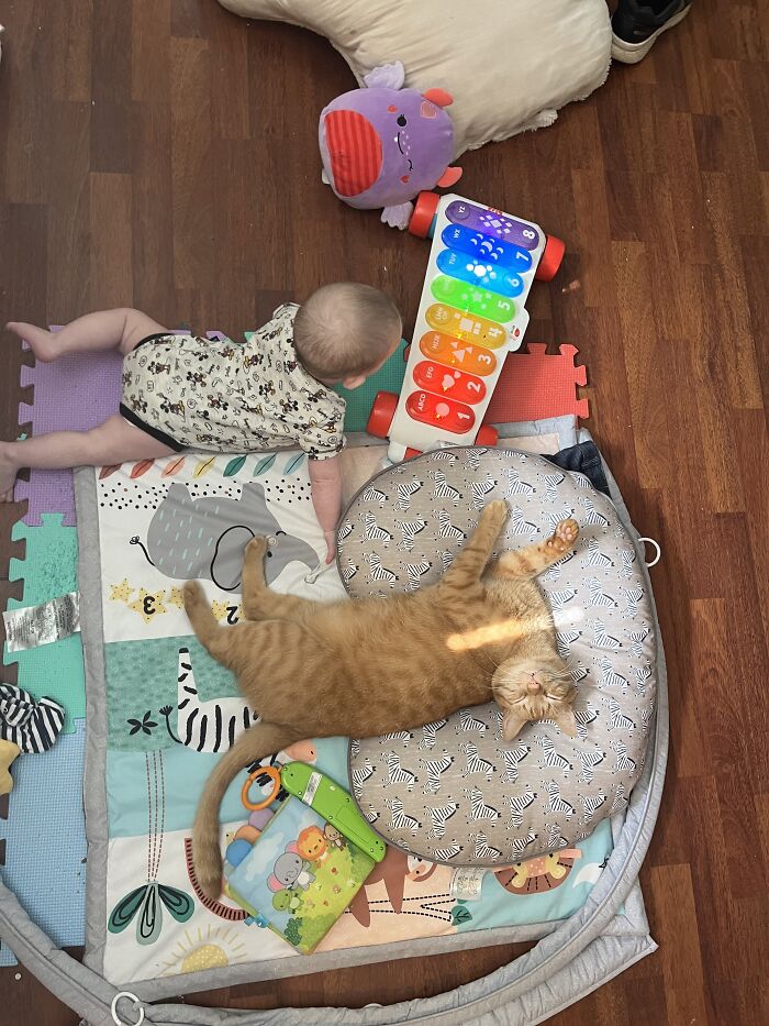 He Loves His Baby So Much