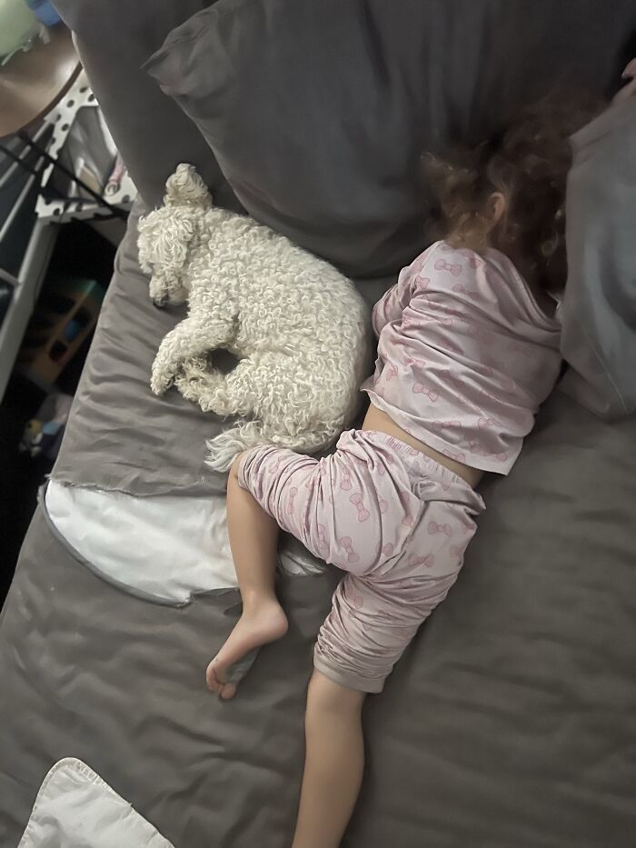 My Dog Attempted To Hatch My Baby For Me….they’ve Been Best Friends Since