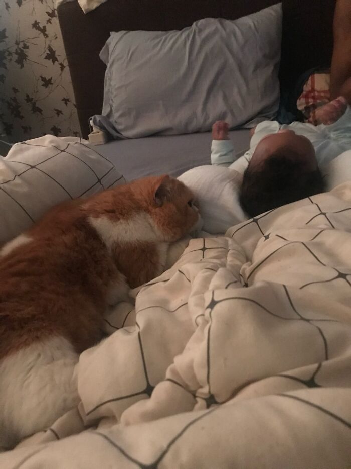 Her 1st Spoken Word Was Jackson (Our Cat’s Name)