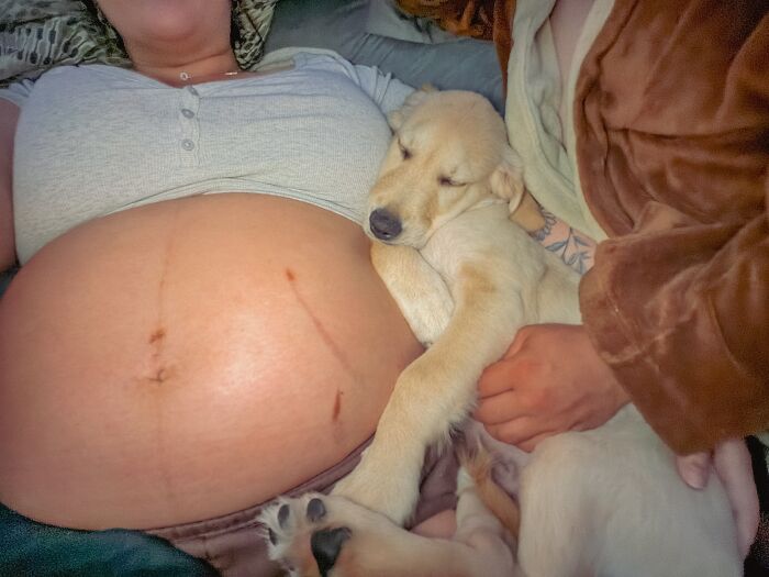 Baby Is Born Now But That Was My 2-3 Month Old Fluff When I Was Pregnant